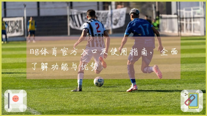 ng体育官方入口及使用指南，全面了解功能与优势