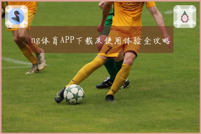 ng体育APP下载及使用体验全攻略
