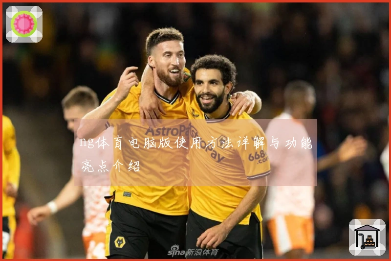 ng体育电脑版使用方法详解与功能亮点介绍