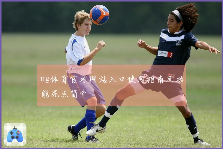 ng体育官方网站入口使用指南及功能亮点简介