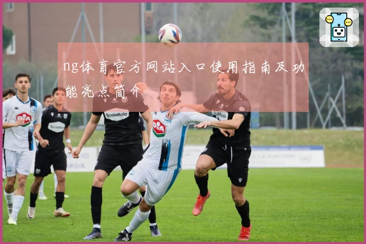 ng体育官方网站入口使用指南及功能亮点简介