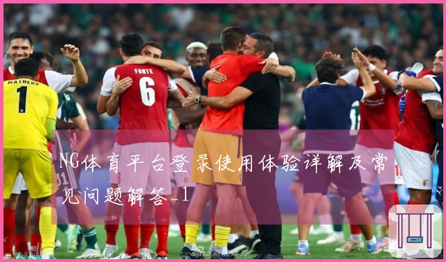 NG体育平台登录使用体验详解及常见问题解答_1