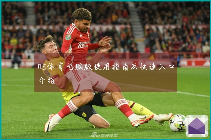 ng体育电脑版使用指南及快速入口介绍