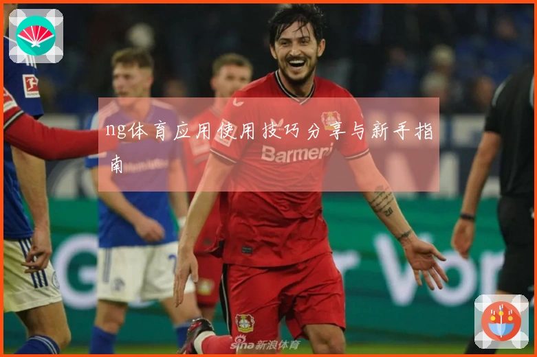 ng体育应用使用技巧分享与新手指南