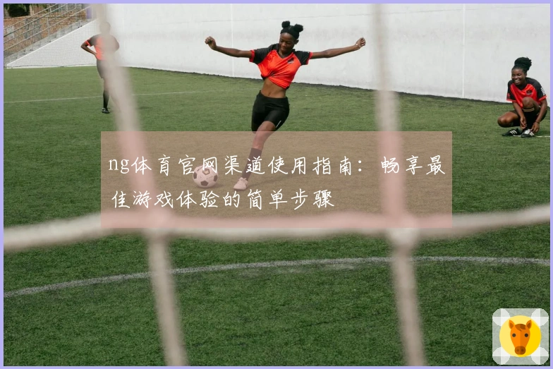 ng体育官网渠道使用指南：畅享最佳游戏体验的简单步骤