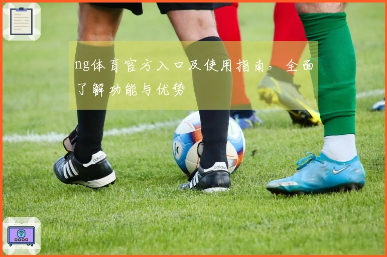 ng体育官方入口及使用指南，全面了解功能与优势